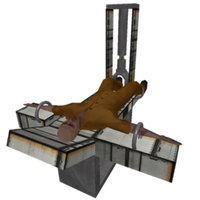 Fandy Birth Livestream meme