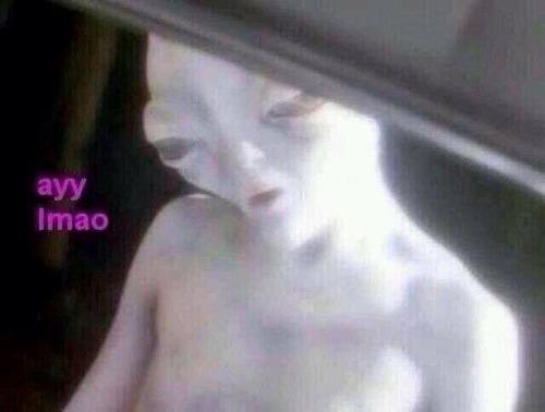 Ayy LMAO meme - " Ayy LMAO " is an expression and Tumblr hashtag which is almost always associated with pictures of 