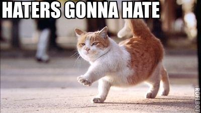 Haters Gonna Hate meme - Haters Gonna Hate is a catchphrase used to indicate a disregard for hostile remarks addressed toward